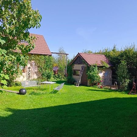 Penzion Domanin Třeboň المظهر الخارجي الصورة
